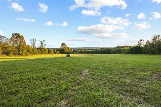 a view of a backyard of the house