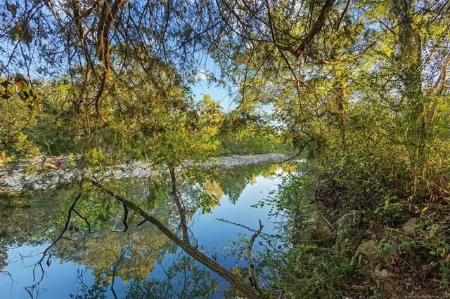 a view of a yard with large tree