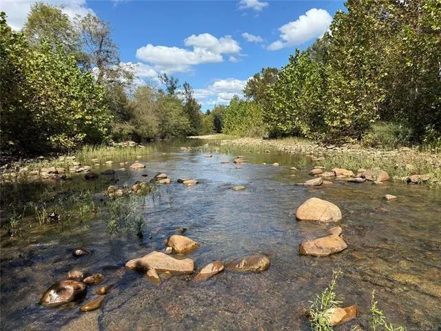 a view of lot of trees
