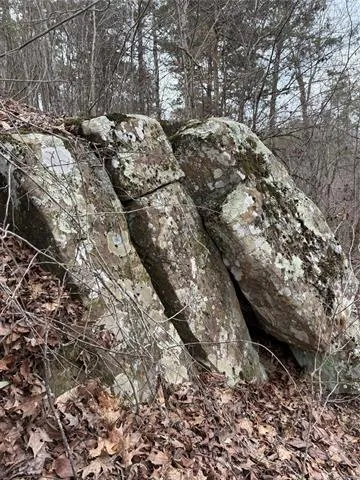 a view of outdoor space