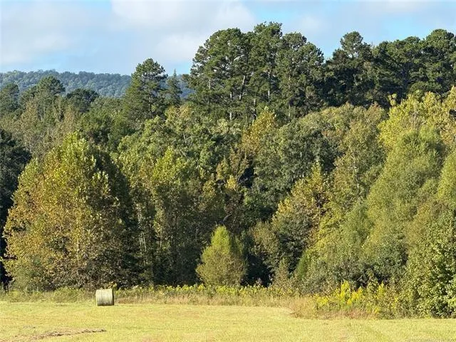 a view of a lake from a yard