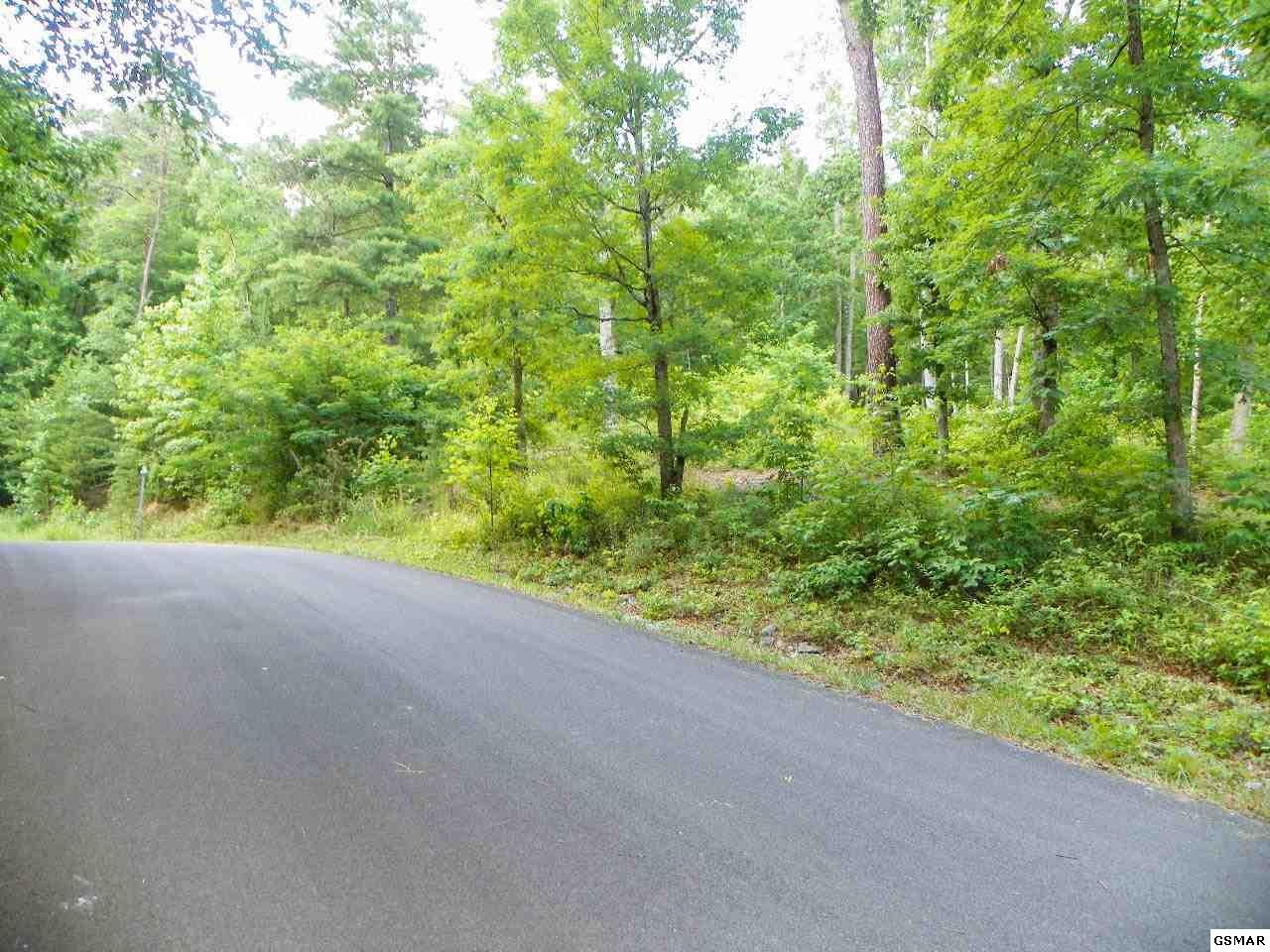 12 Bogle Spring Loop Sevierville, TN 37862 - Photo 14 of 14 Gallery Image 14