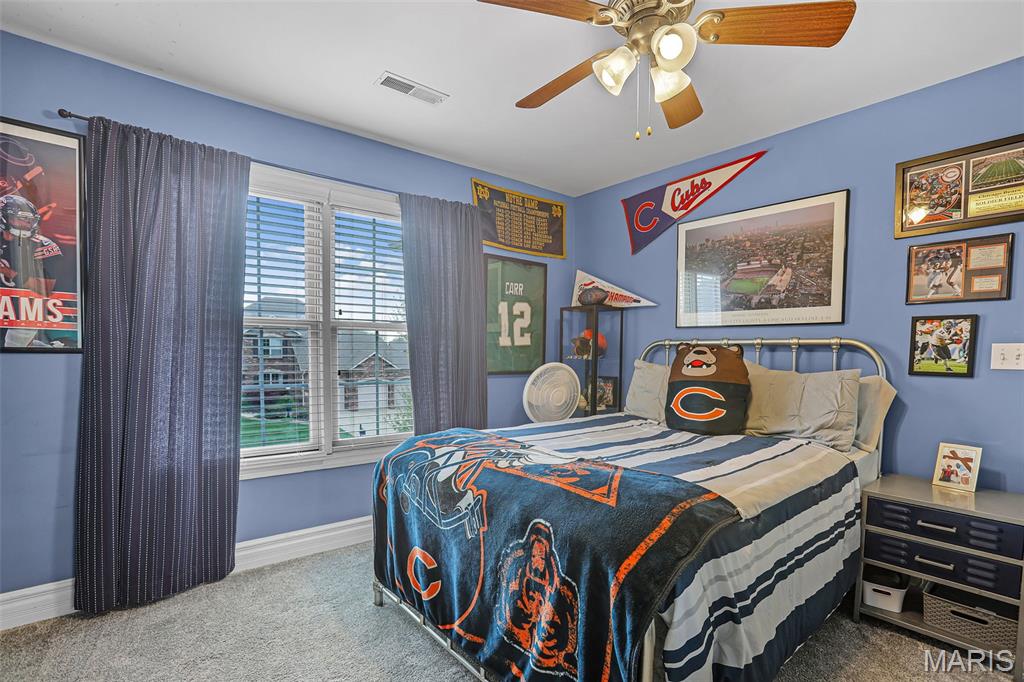 3375 Piazza Lane Edwardsville, IL 62025 - Photo 36 of 59