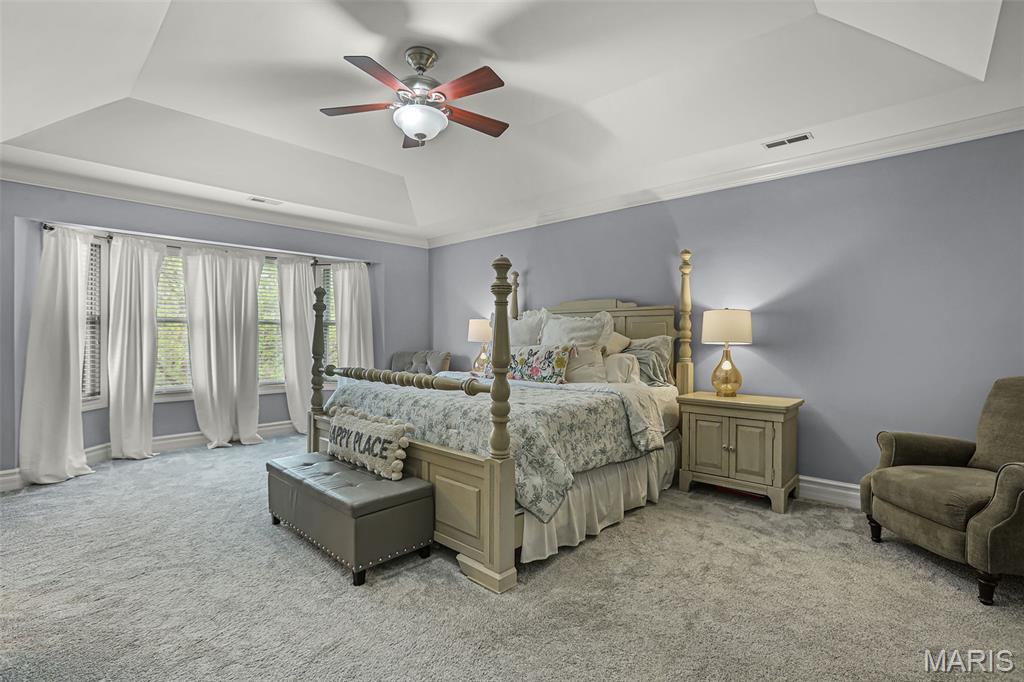 3375 Piazza Lane Edwardsville, IL 62025 - Photo 38 of 59