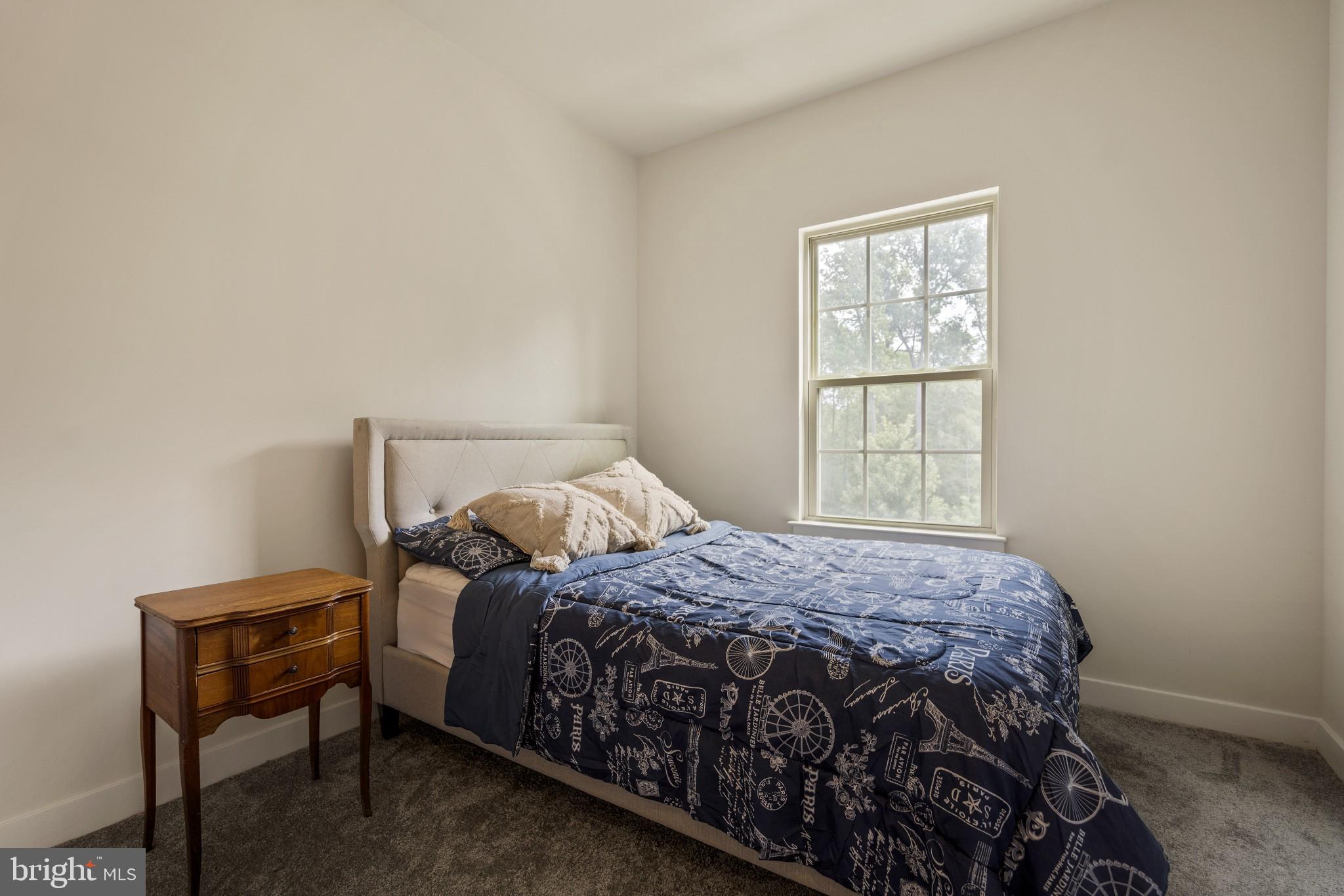 18024 Red Cedar Road Dumfries, VA 22026 - Photo 22 of 42 Guest Bedroom 2