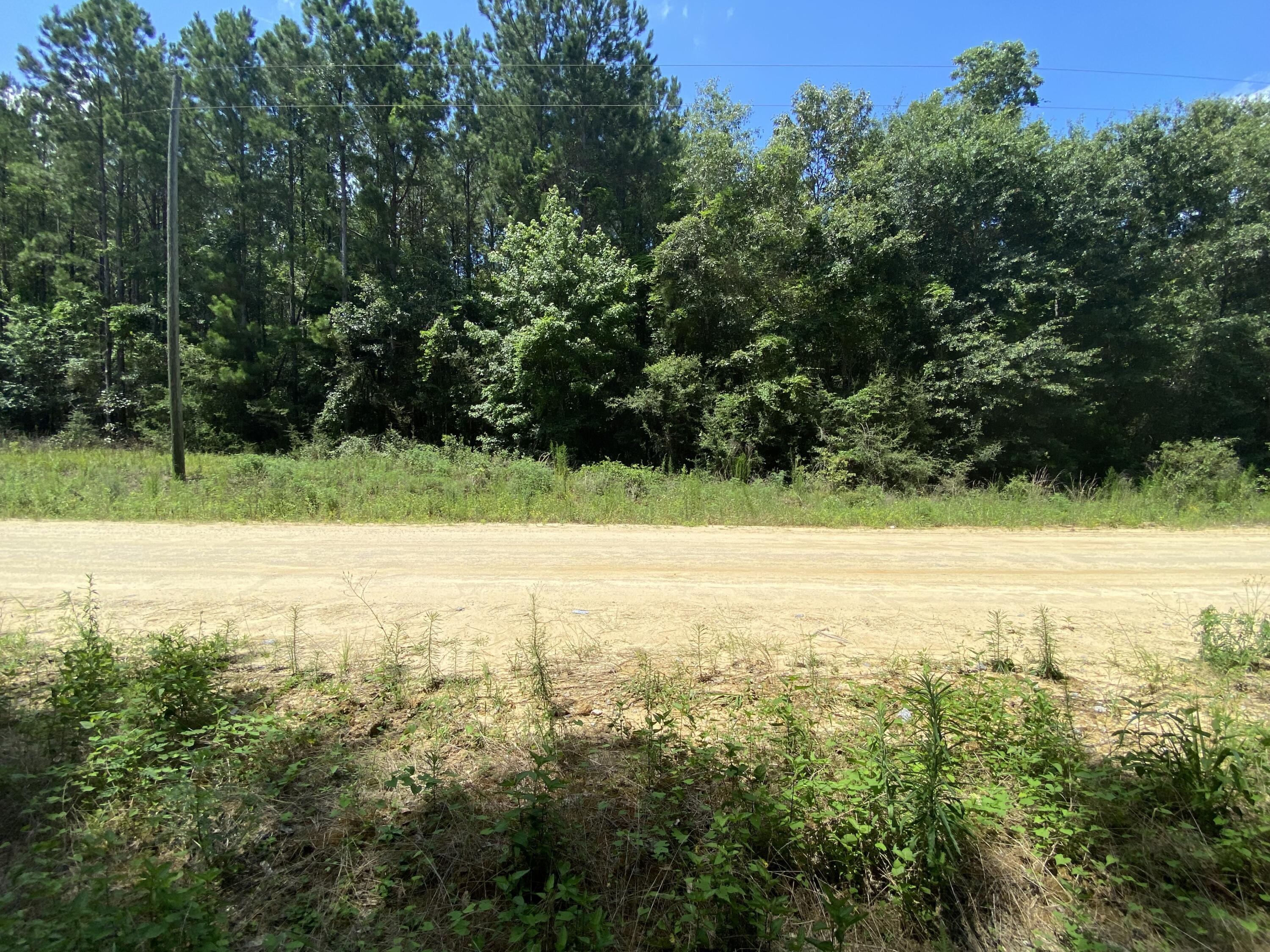 38-ac Henderson Bridge Road Opp, AL 36467 - Photo 15 of 25 a view of yard with green space