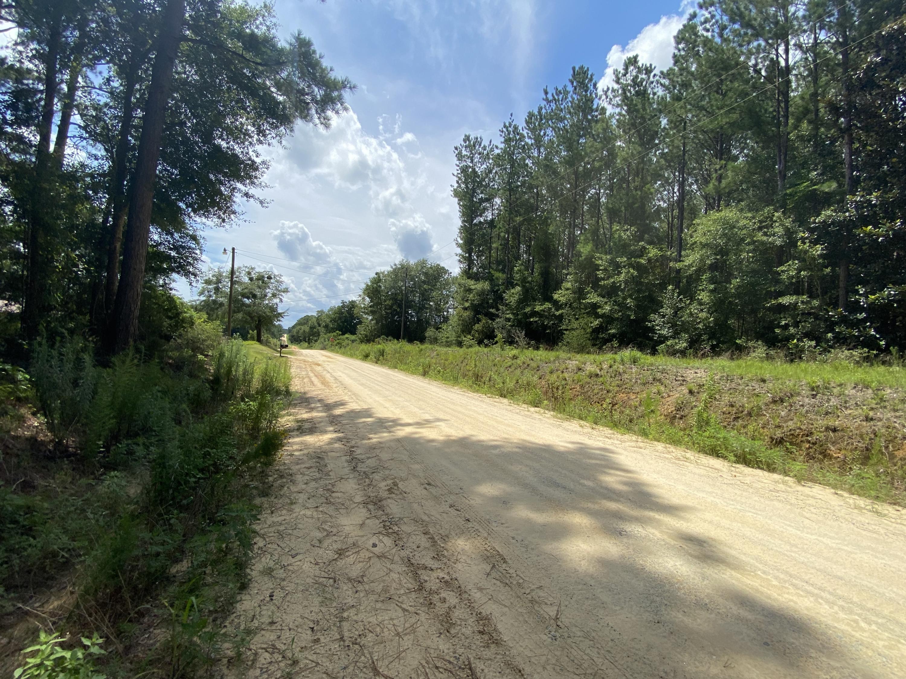 38-ac Henderson Bridge Road Opp, AL 36467 - Photo 16 of 25 a view of a yard with plants and large trees