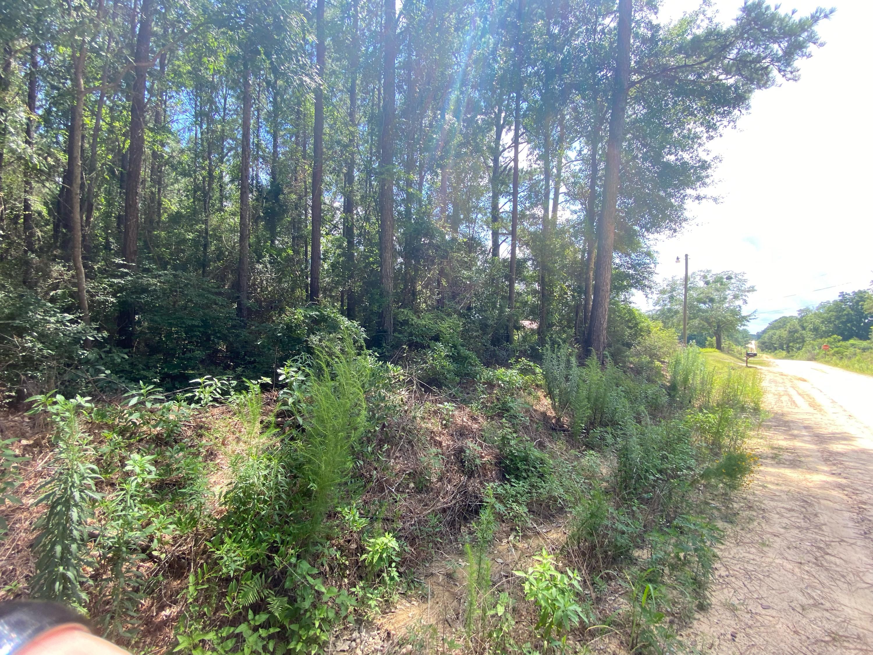 38-ac Henderson Bridge Road Opp, AL 36467 - Photo 25 of 25 a view of a yard with large trees