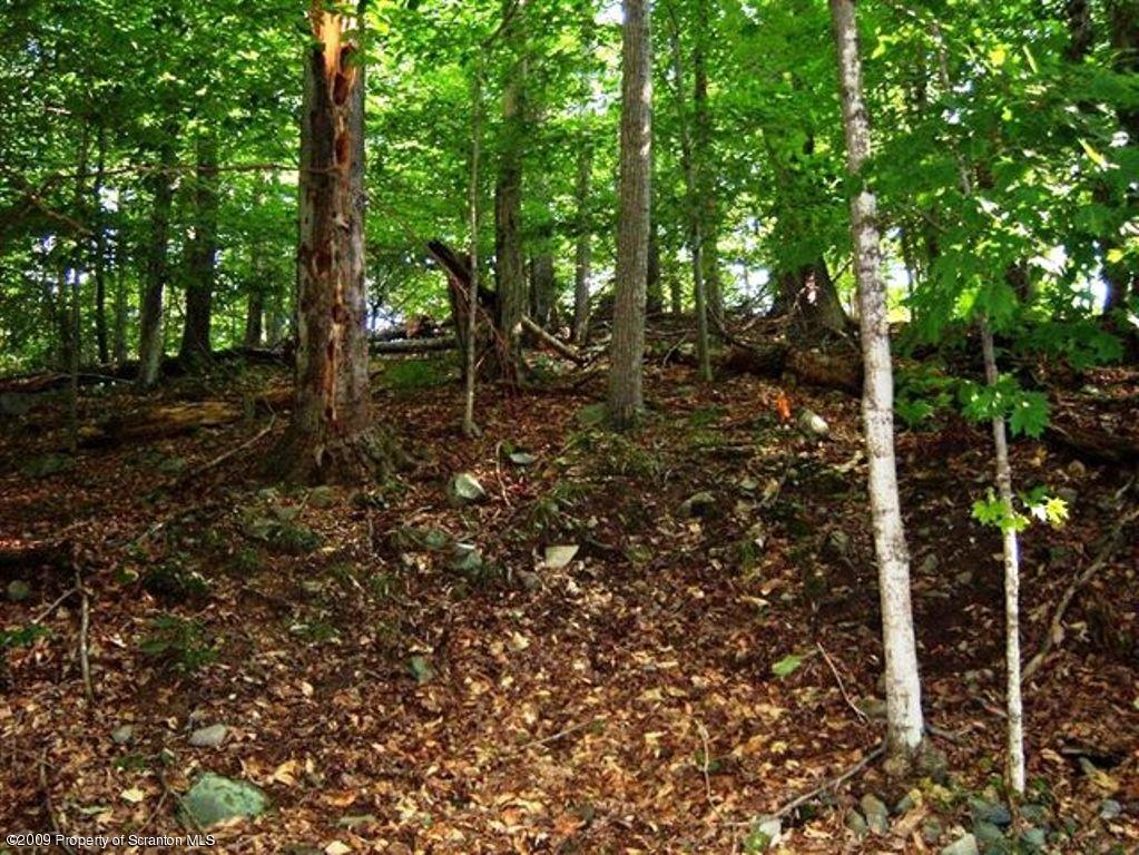Lot 17 Beaver Pond Road Lake Ariel, PA 18436 - Photo 1 of 8 VIEW OF LOT