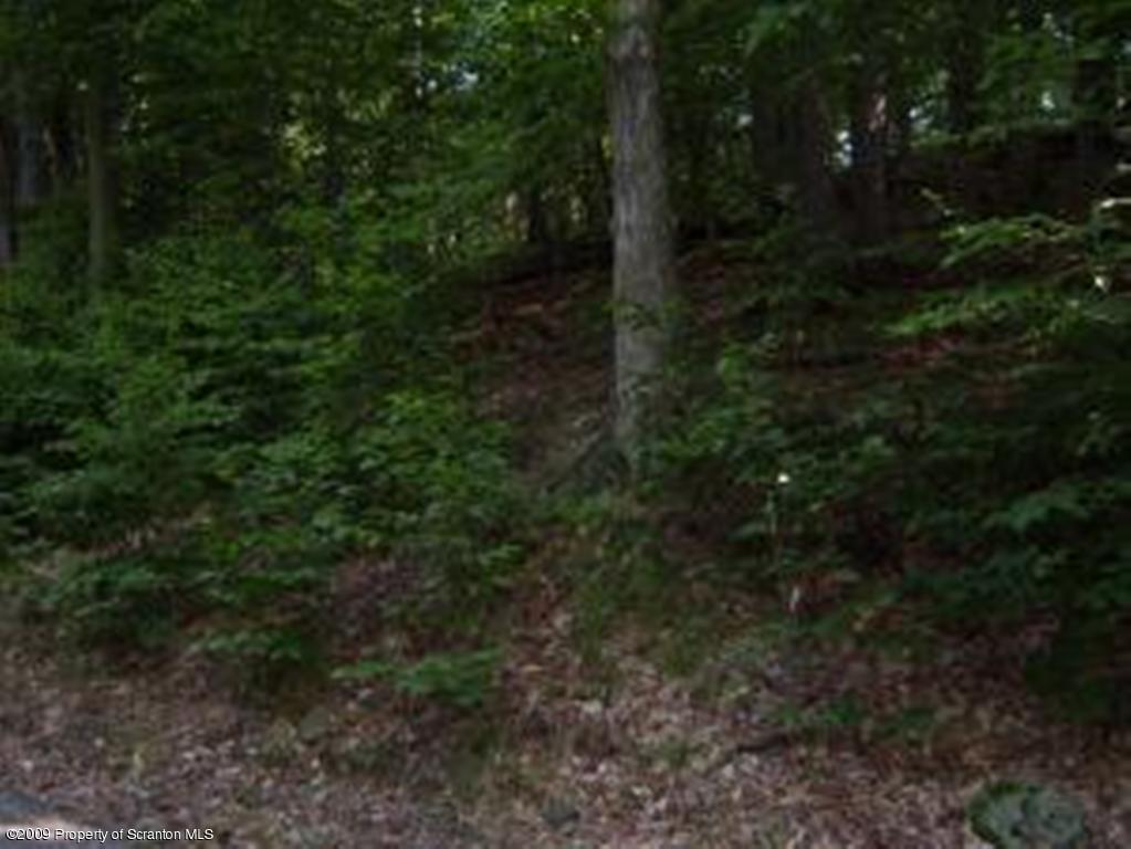 Lot 17 Beaver Pond Road Lake Ariel, PA 18436 - Photo 2 of 8 VIEW 2 OF LOT