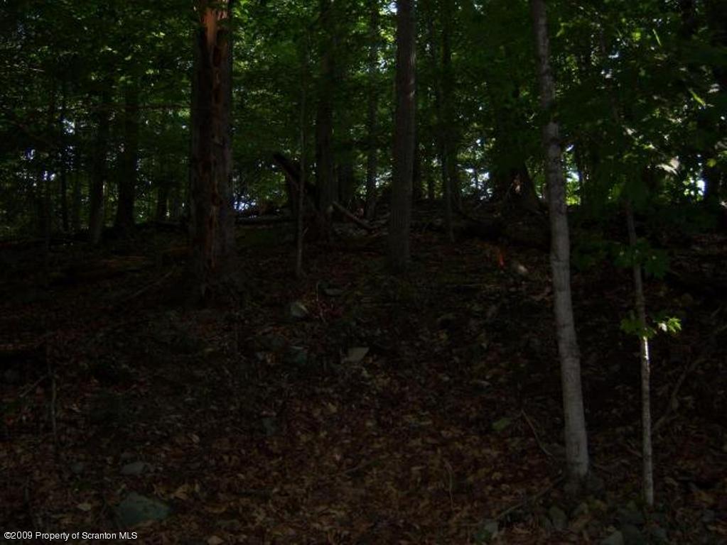 Lot 17 Beaver Pond Road Lake Ariel, PA 18436 - Photo 3 of 8 VIEW 3 OF LOT