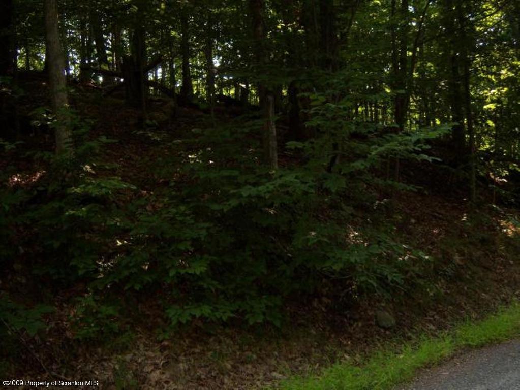 Lot 17 Beaver Pond Road Lake Ariel, PA 18436 - Photo 4 of 8 VIEW 4 OF LOT