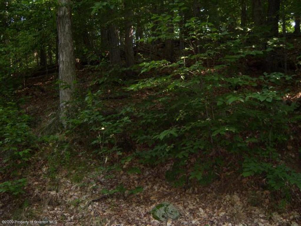 Lot 17 Beaver Pond Road Lake Ariel, PA 18436 - Photo 5 of 8 VIEW 5 OF LOT