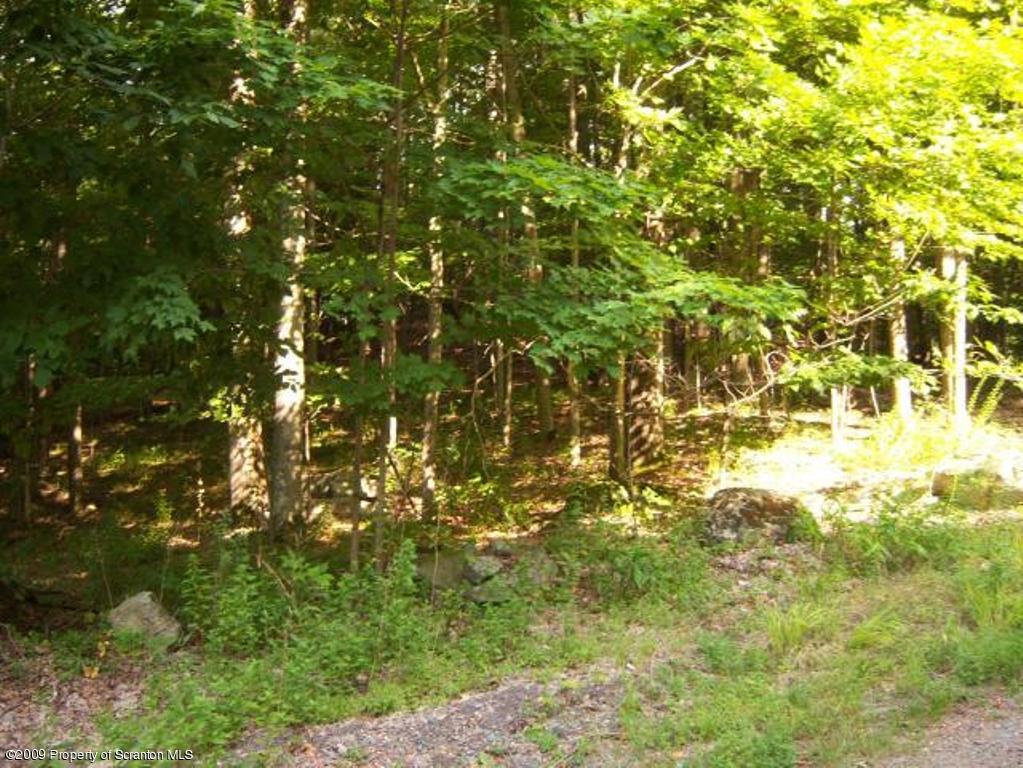 Lot 17 Beaver Pond Road Lake Ariel, PA 18436 - Photo 6 of 8 VIEW FROM LARCH TRAIL