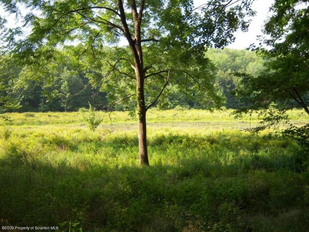 Lot 17 Beaver Pond Road Lake Ariel, PA 18436 - Photo 7 of 8 VIEW OF BEAVER POND FROM LOT