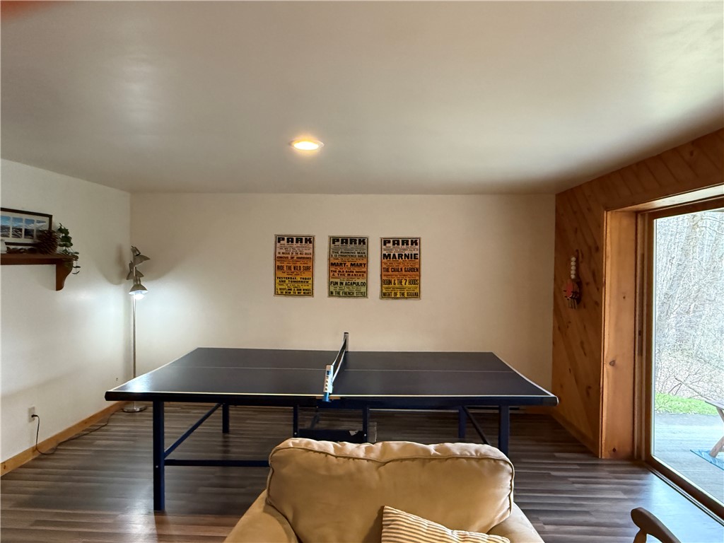 207 Pheasant Run Road Middlefield, NY 13326 - Photo 31 of 44 Game Central