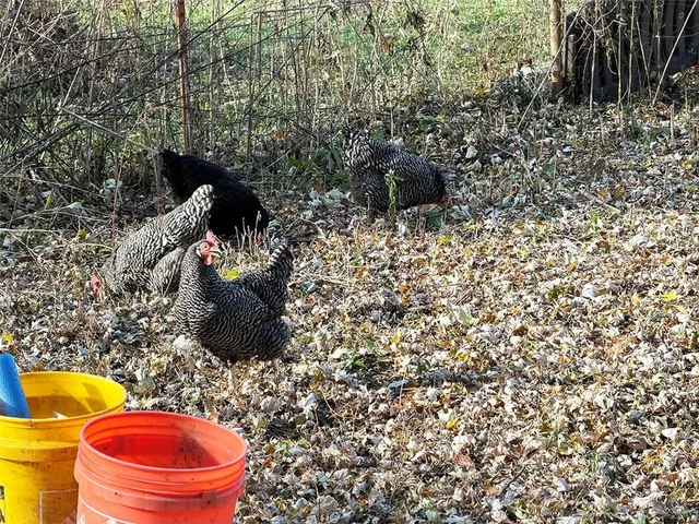 $189,900 | 410 Park Avenue, Buckner, MO 64016