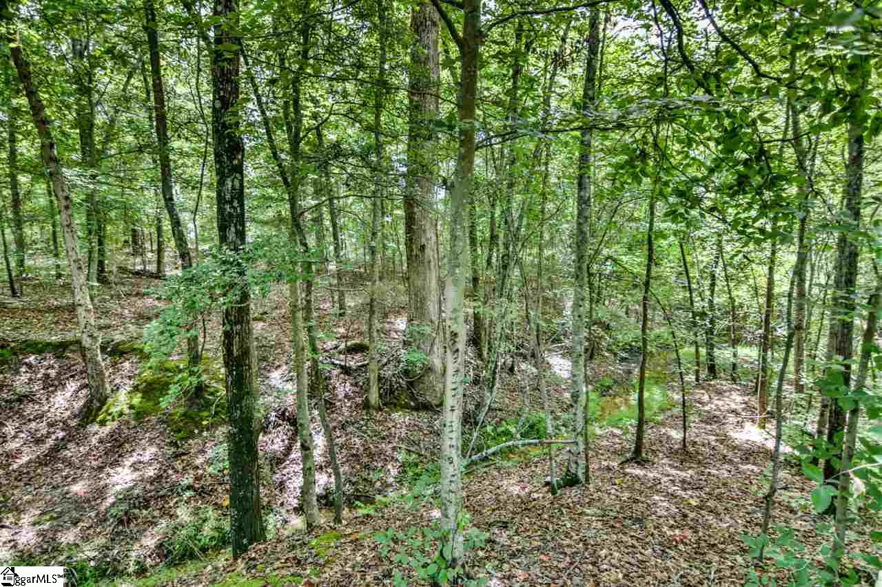 2664 Bolt Road Gray Court, SC 29645 - Photo 10 of 25