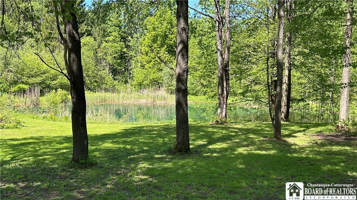 5386 Dean Road Stockton, NY 14784 - Photo 10 of 49