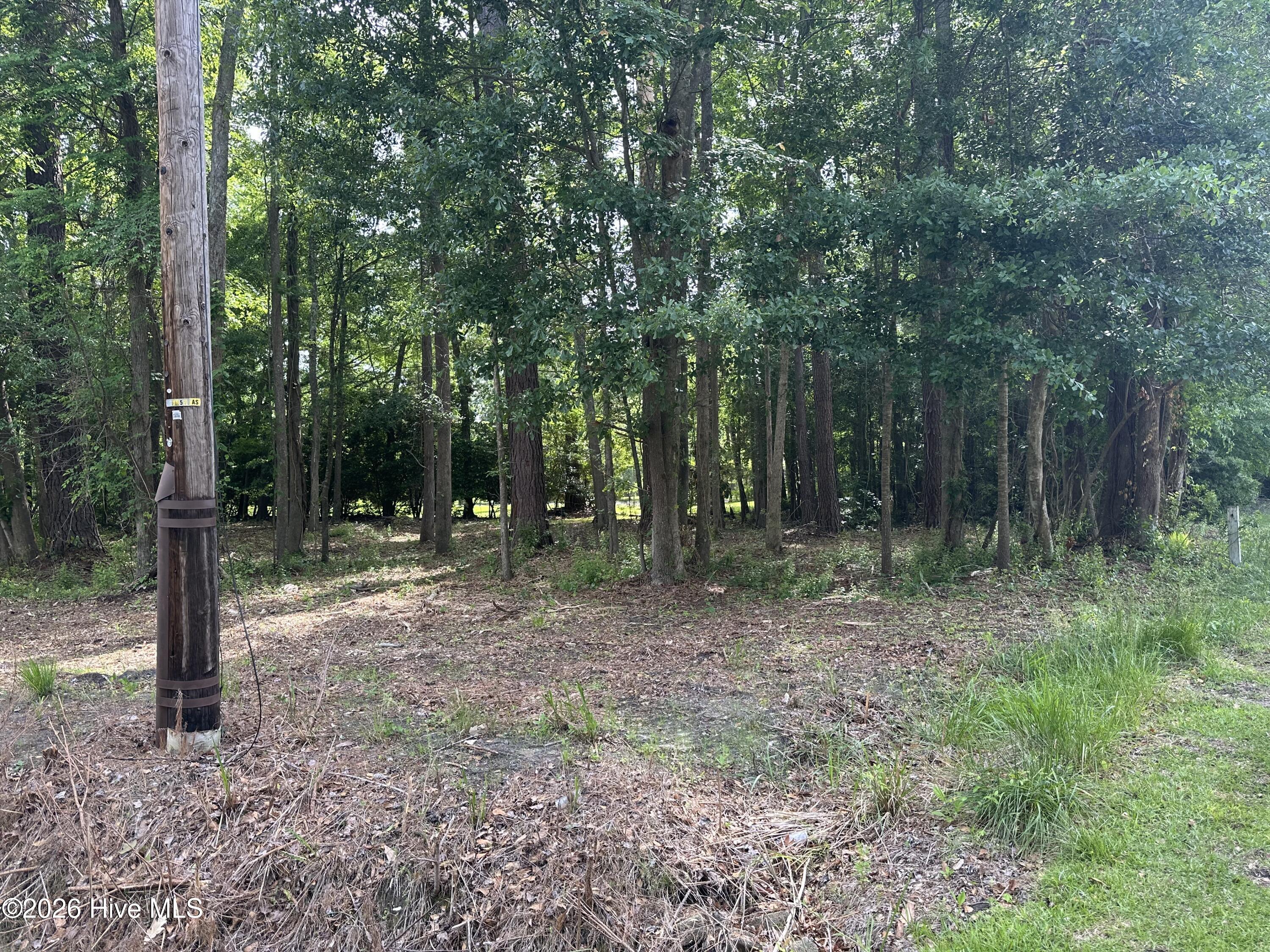 628 Blue Jean Road Whiteville, NC 28472 - Photo 2 of 6 IMG_3732
