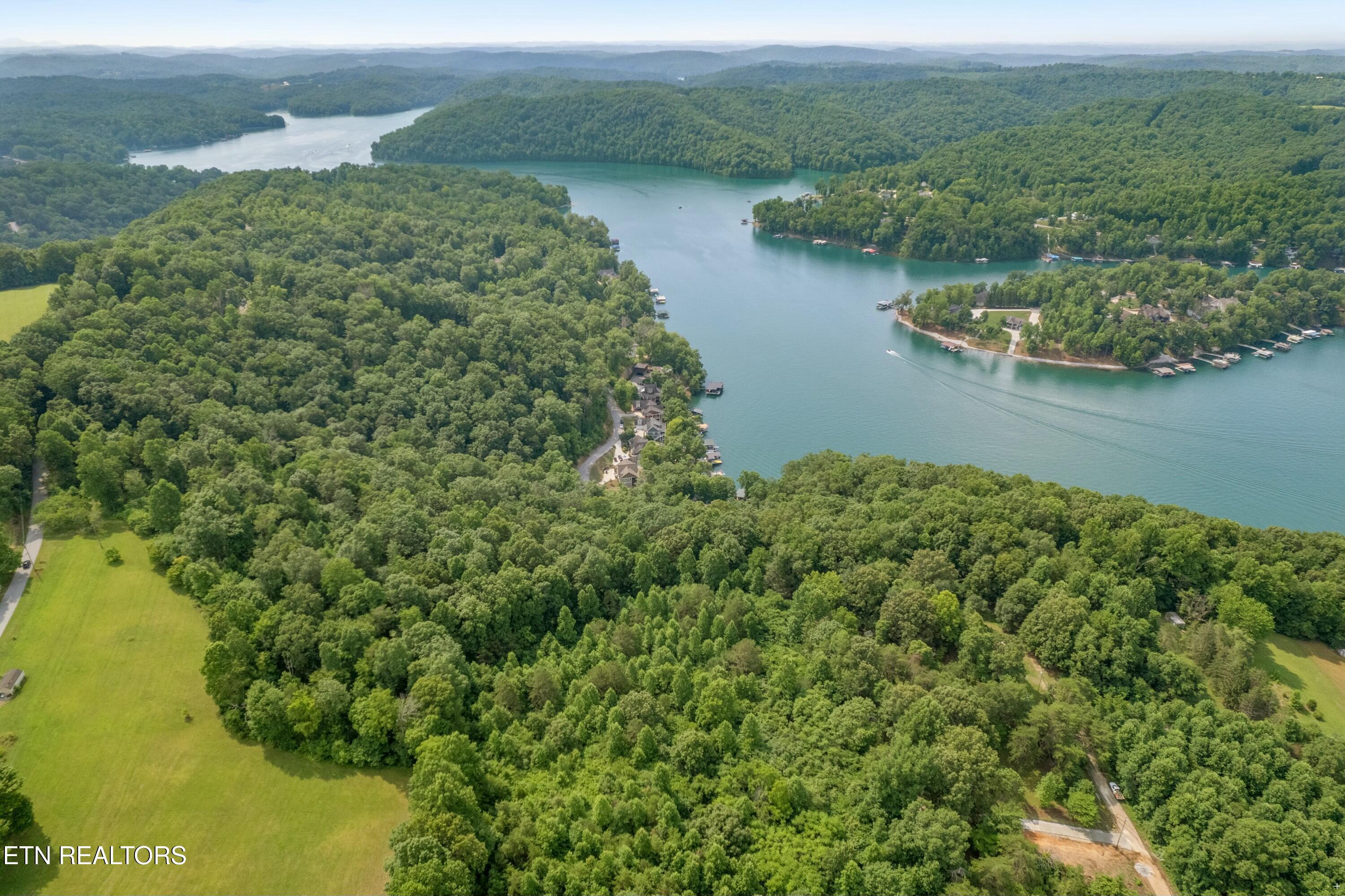 0 Chestnut Stump Road La Follette, TN 37766 - Photo 1 of 19 Chestnut Stump