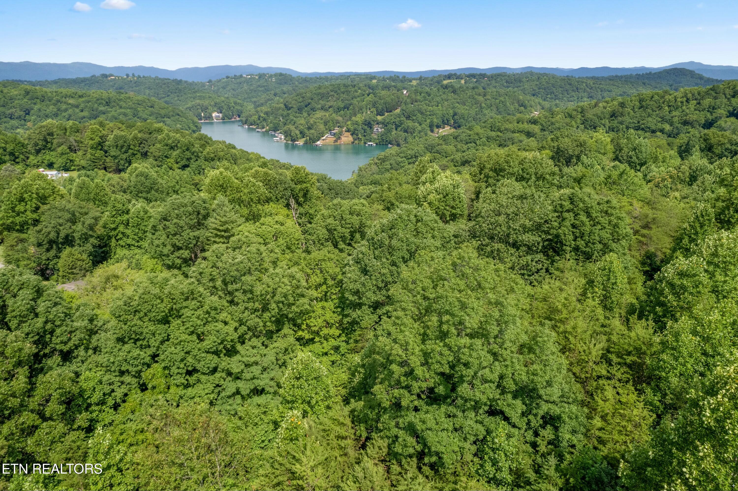 0 Chestnut Stump Road La Follette, TN 37766 - Photo 5 of 19 Chestnut Stump