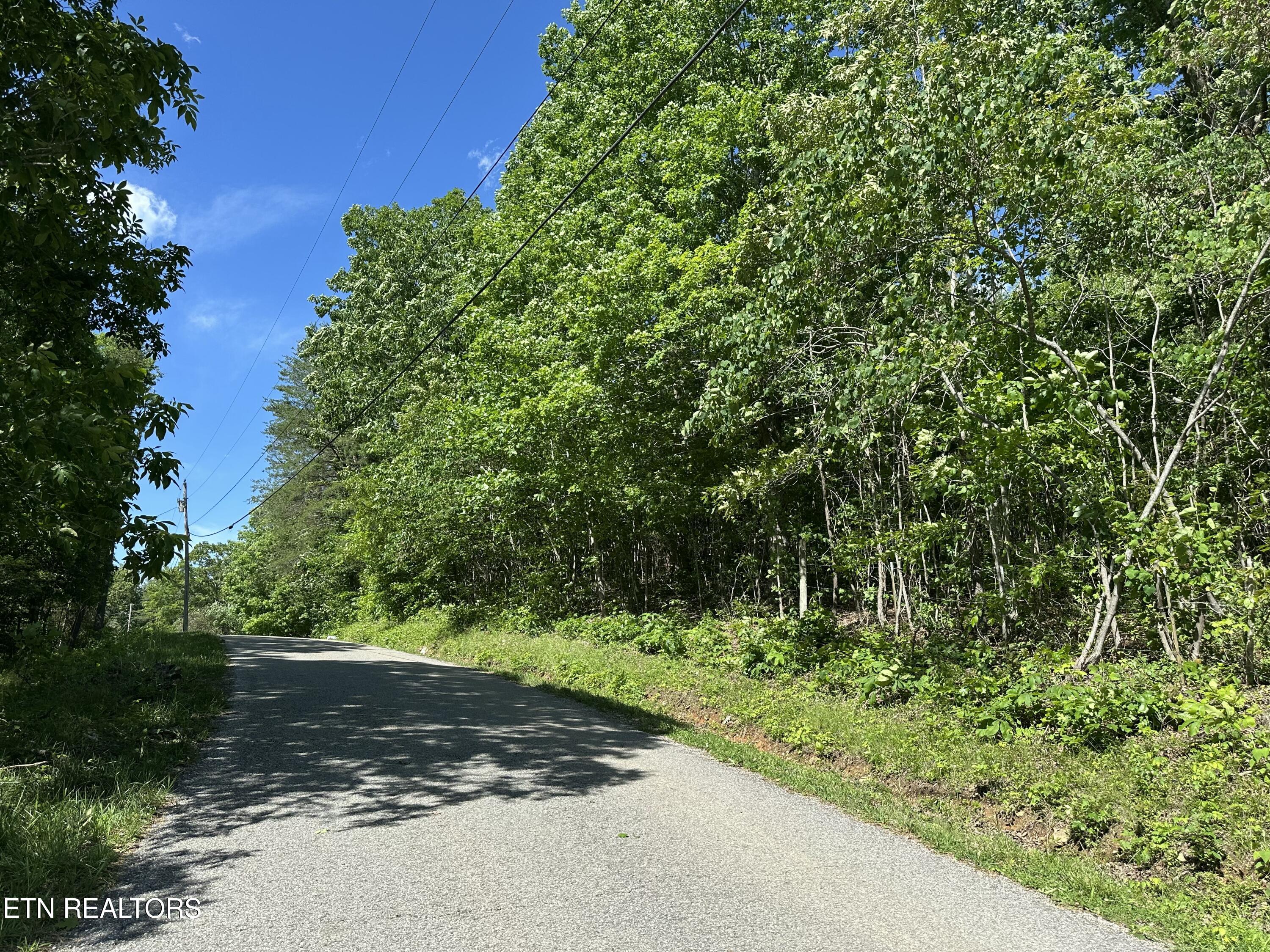 0 Chestnut Stump Road La Follette, TN 37766 - Photo 8 of 19 Road View