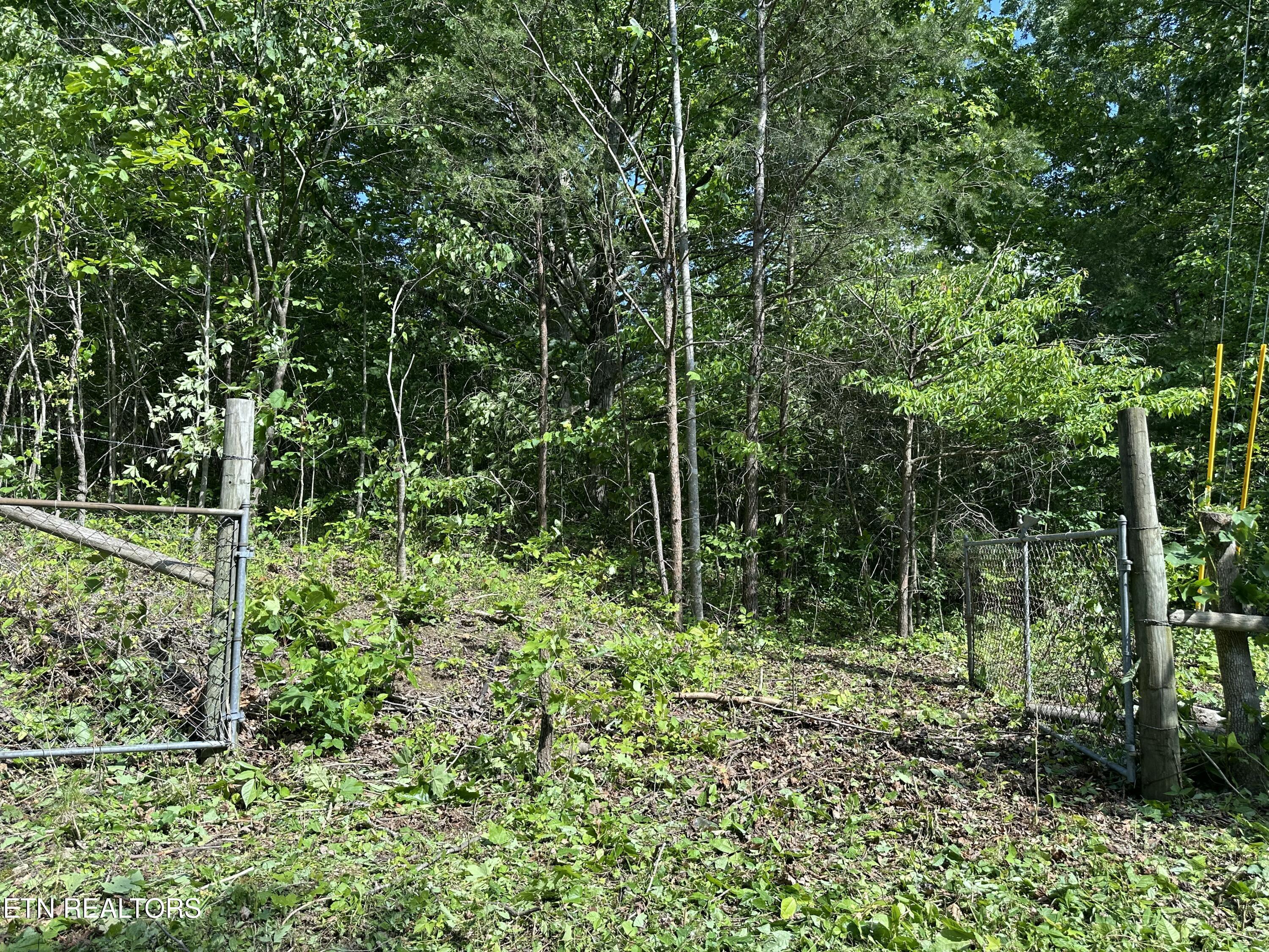 0 Chestnut Stump Road La Follette, TN 37766 - Photo 9 of 19 Entry Gate from Road