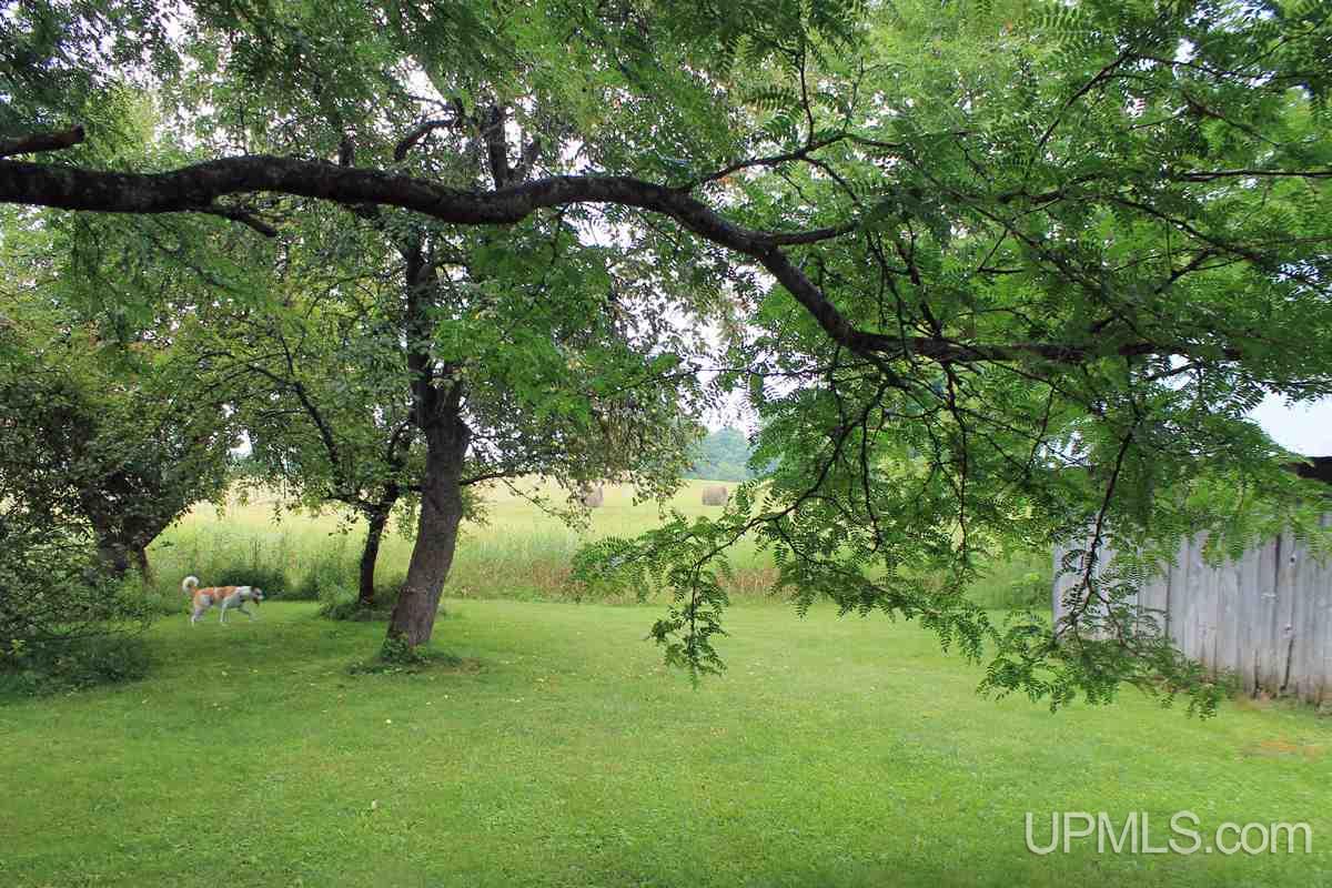 N2506 East T Road Trenary, MI 49891 - Photo 15 of 29 Gallery Image 15