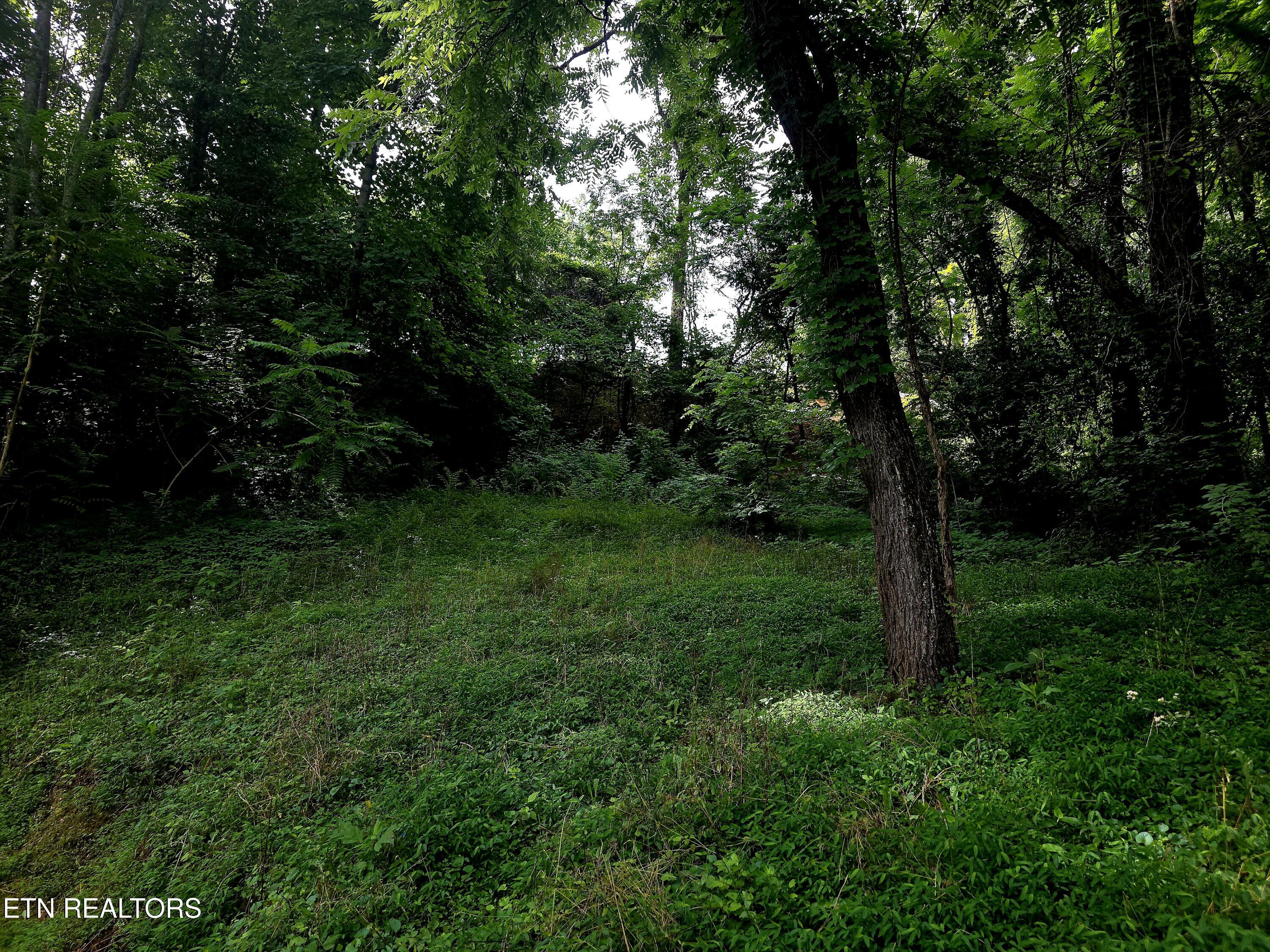 2074 Long Hollow Road La Follette, TN 37766 - Photo 14 of 14 20260620_101803