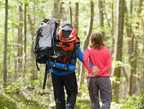 8625 Homecoming Drive Chattanooga, TN 37421 - Photo 100 of 100 shutterstock_232072441