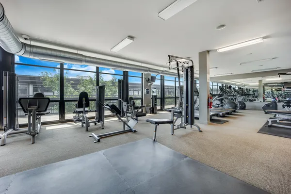 $2,700 | 1151 West 15th Street, Unit 104, Chicago, IL 60608