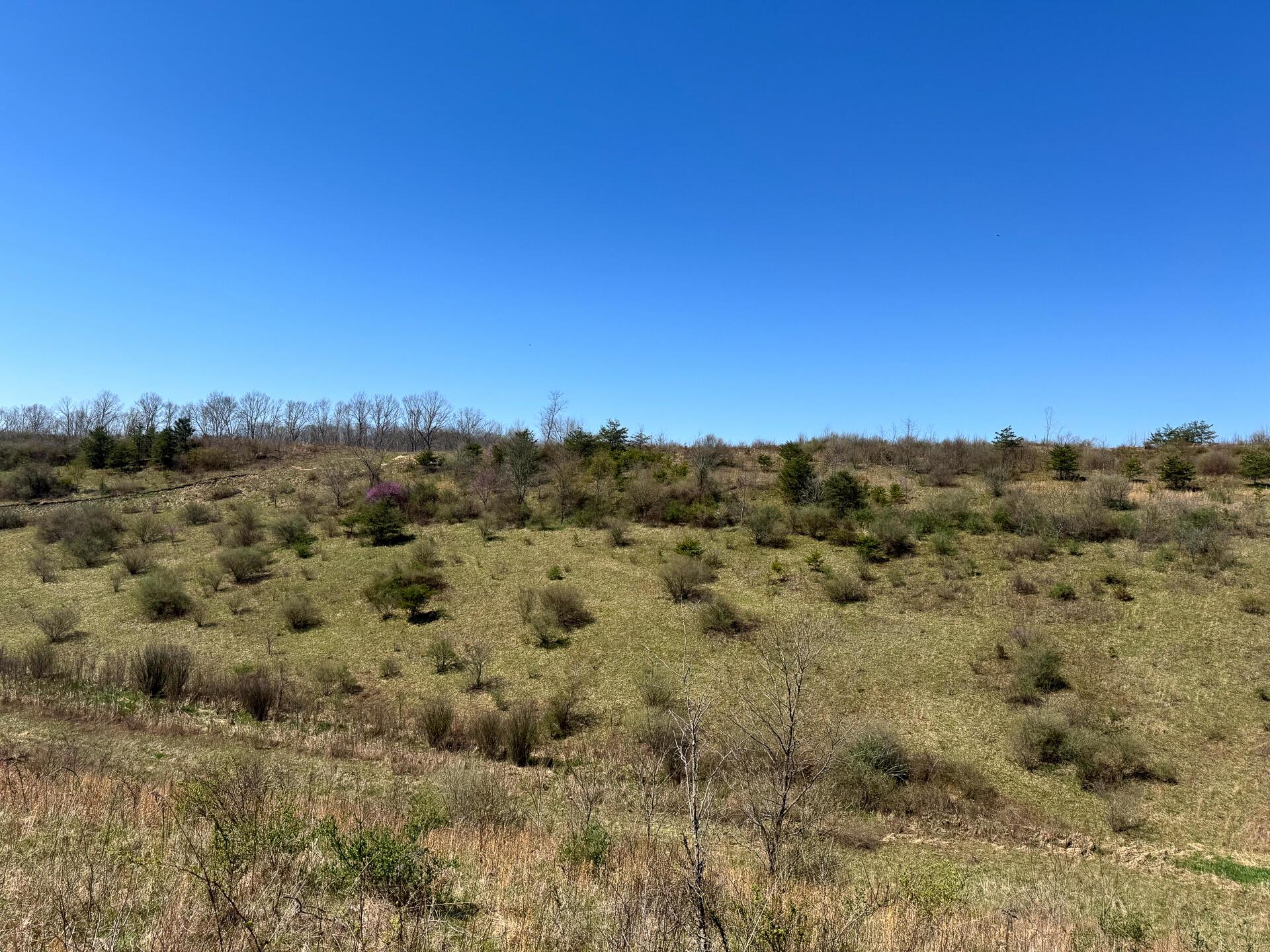 0 Sulphur Spring Road Southeast, Unit 105 ACRE SULPHUR SPRINGS) New Lexington, OH 43764 - Photo 14 of 30 CT-14