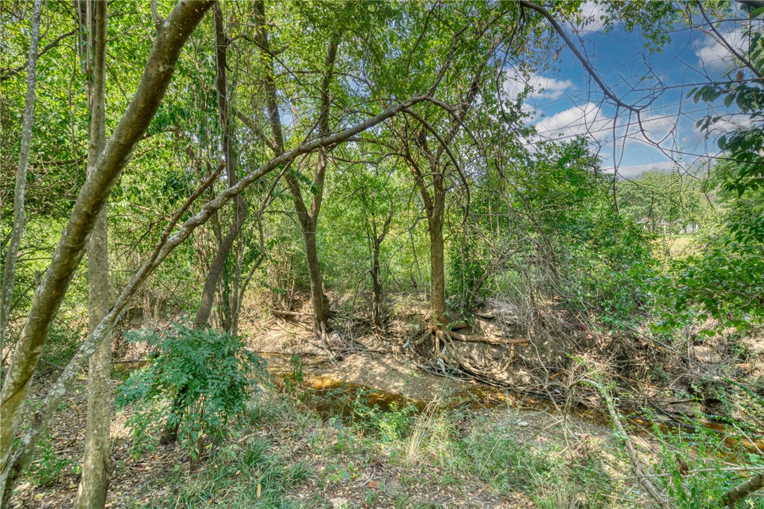 1513 Wolf Run College Station, TX 77840 - Photo 30 of 33 View of local wilderness and Wolf Pen Creek