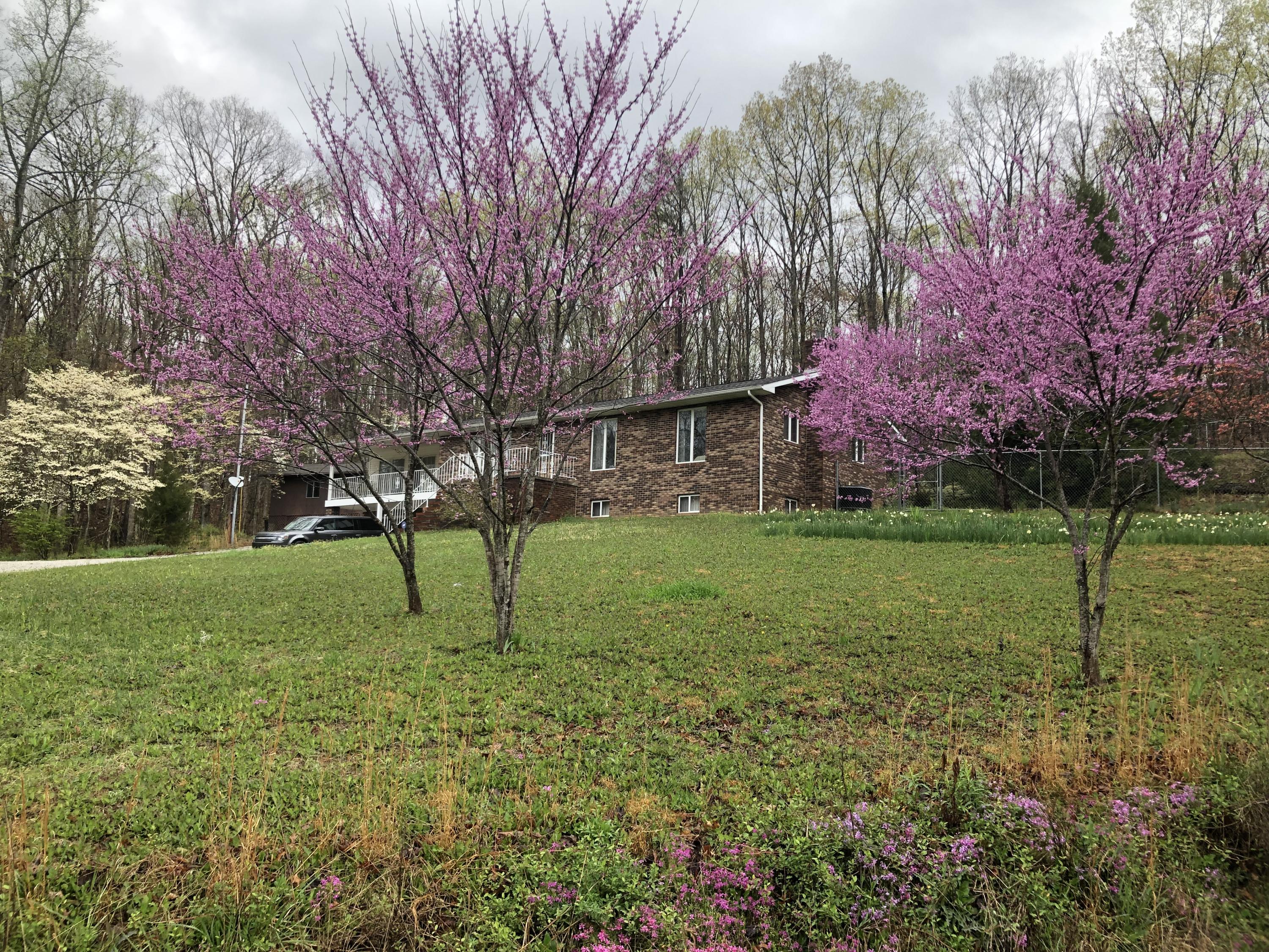 1050 Poplar Springs Road Kingston, TN 37763 - Photo 30 of 31 29