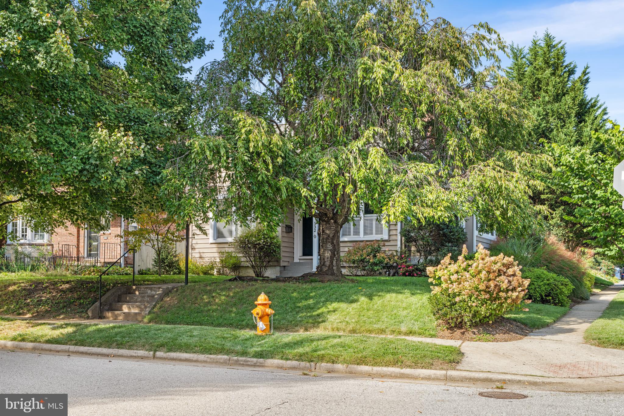 532 Overbrook Road Baltimore, MD 21212 - Photo 4 of 44 a front view of a house with a tree