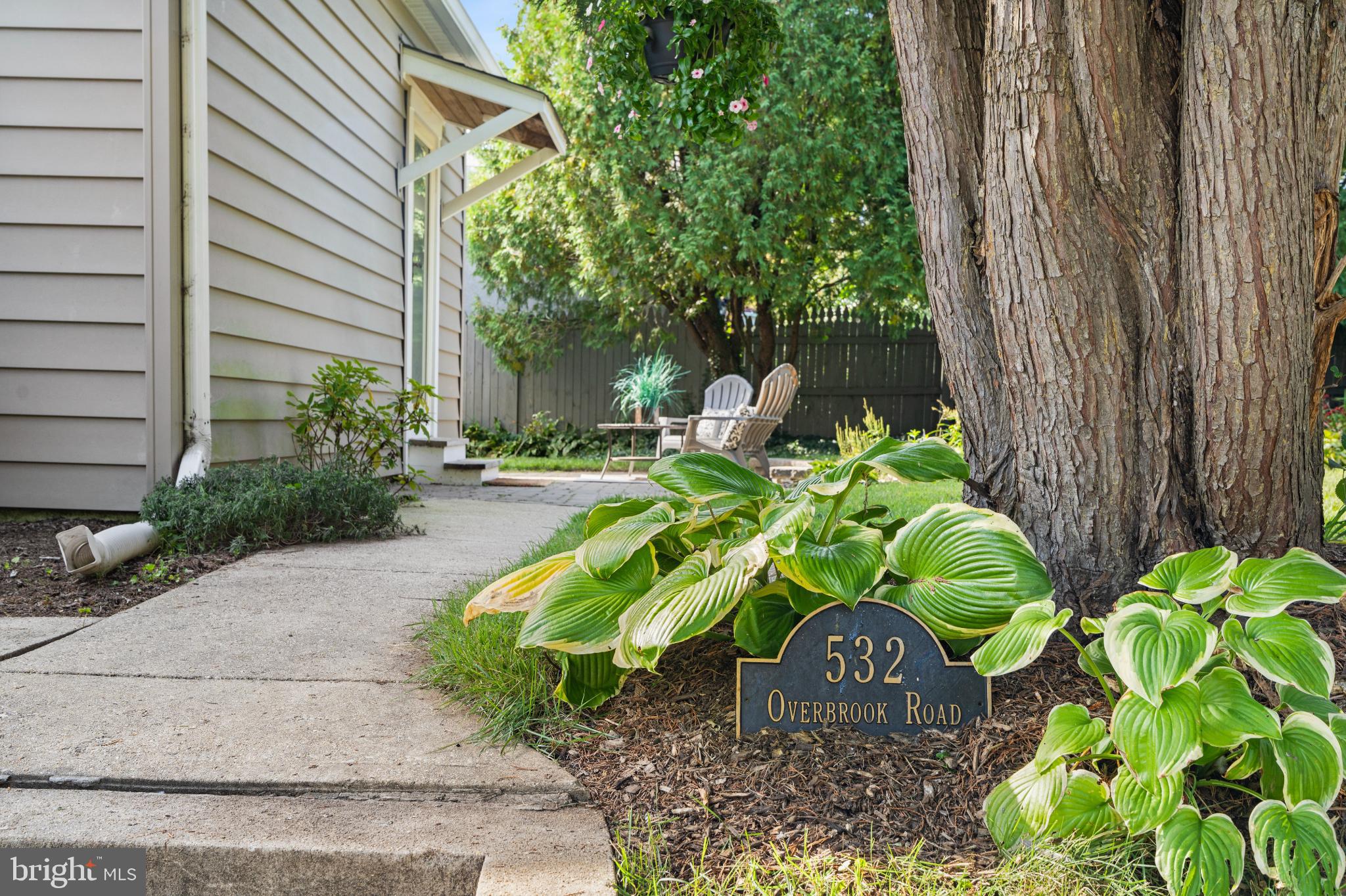 532 Overbrook Road Baltimore, MD 21212 - Photo 42 of 44 a plant is sitting in front of flowers