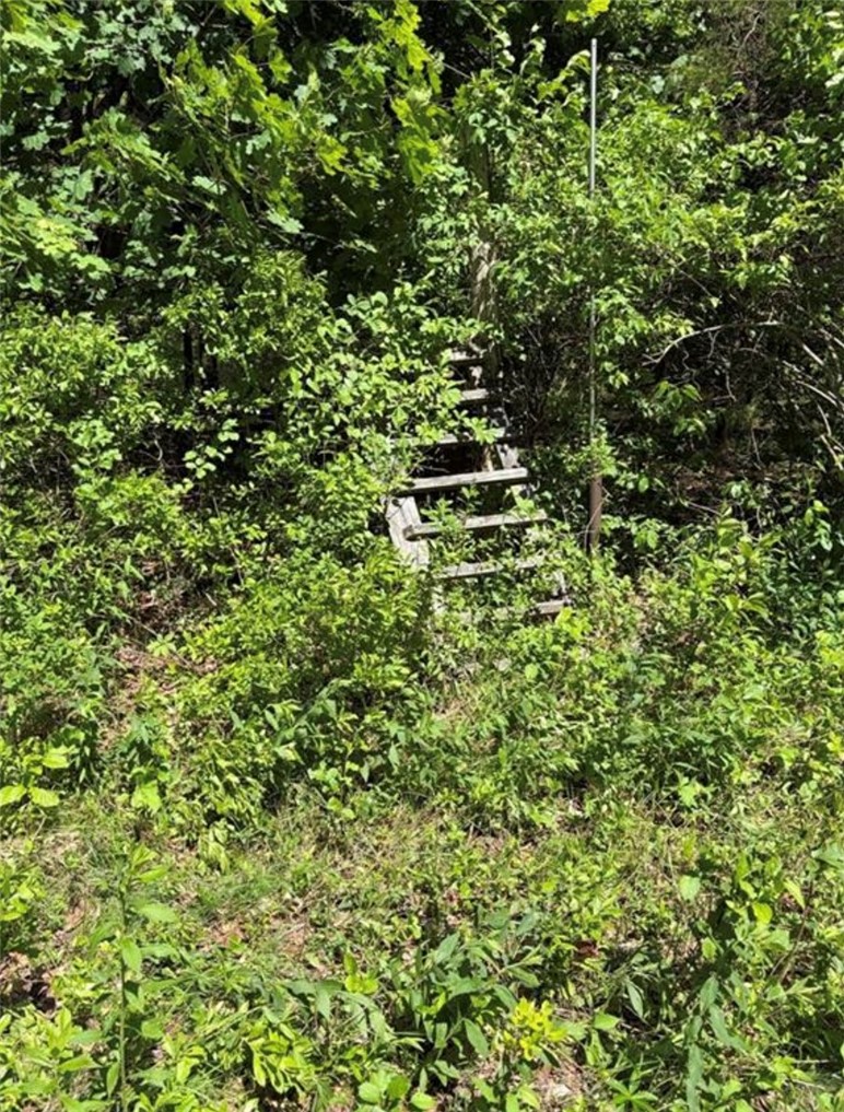 0 Lawton Foster Road South Hopkinton, RI 02833 - Photo 1 of 5