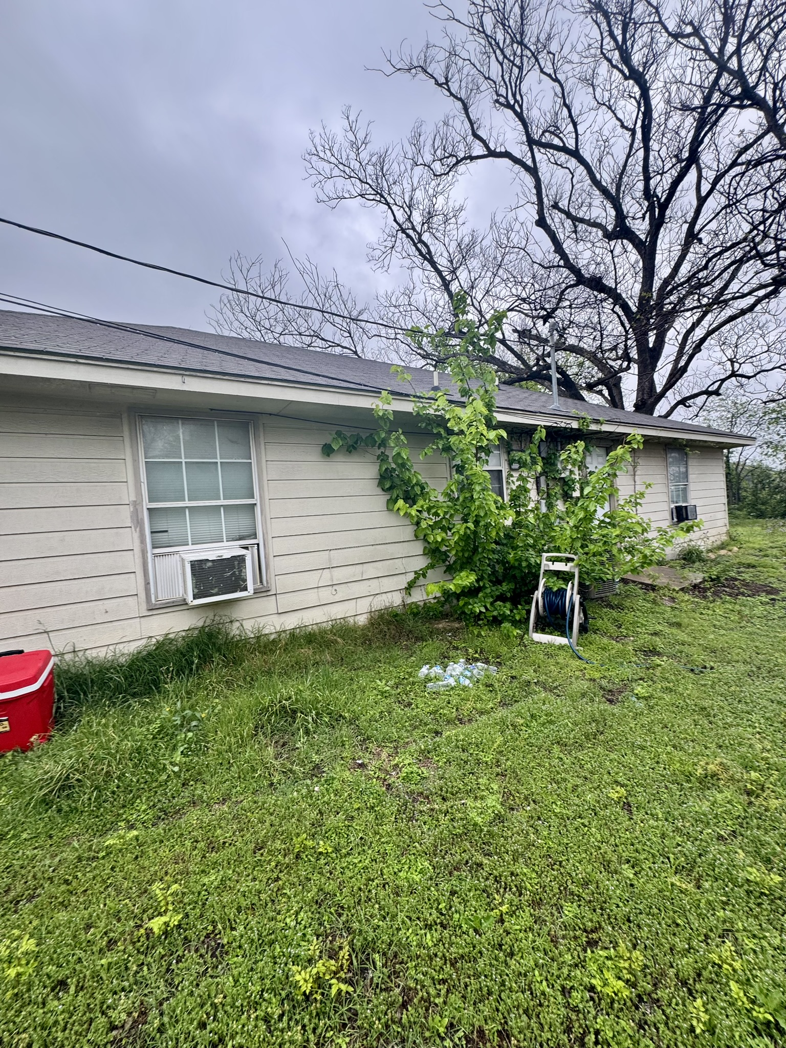 9 South 19th Street Temple, TX 76504 - Photo 7 of 11 a backyard of a house with plants and large tree