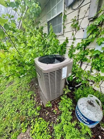 a view of a backyard with plants and plants