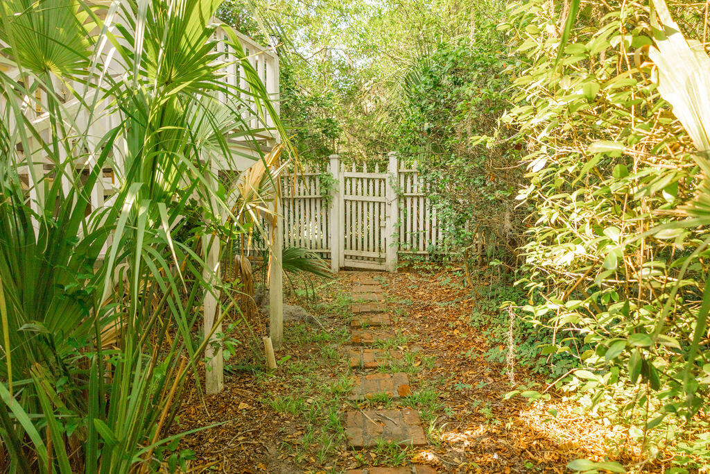 701 Hampton Street Walterboro, SC 29488 - Photo 63 of 64 3T6A1038