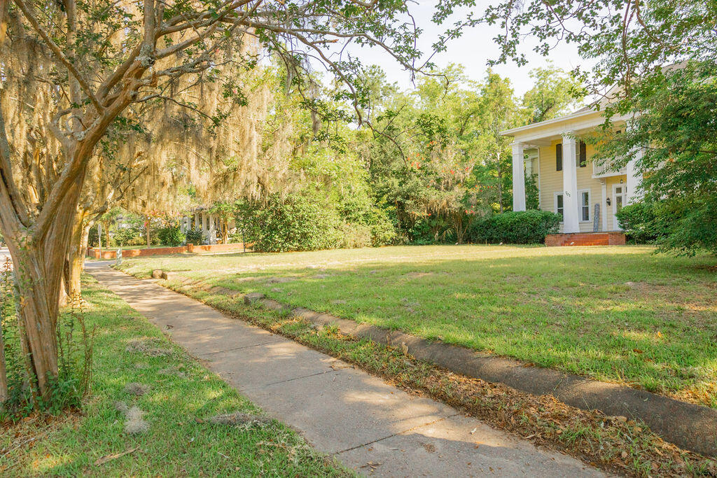 701 Hampton Street Walterboro, SC 29488 - Photo 7 of 64 3T6A1034
