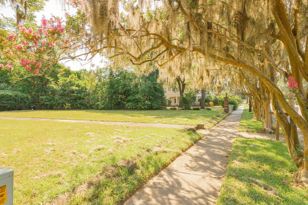 701 Hampton Street Walterboro, SC 29488 - Photo 8 of 64 3T6A1032