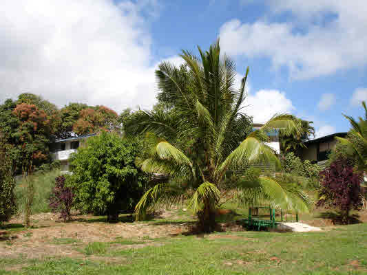 4875 Hauaala Road Kapaa, HI 96746 - Photo 3 of 10