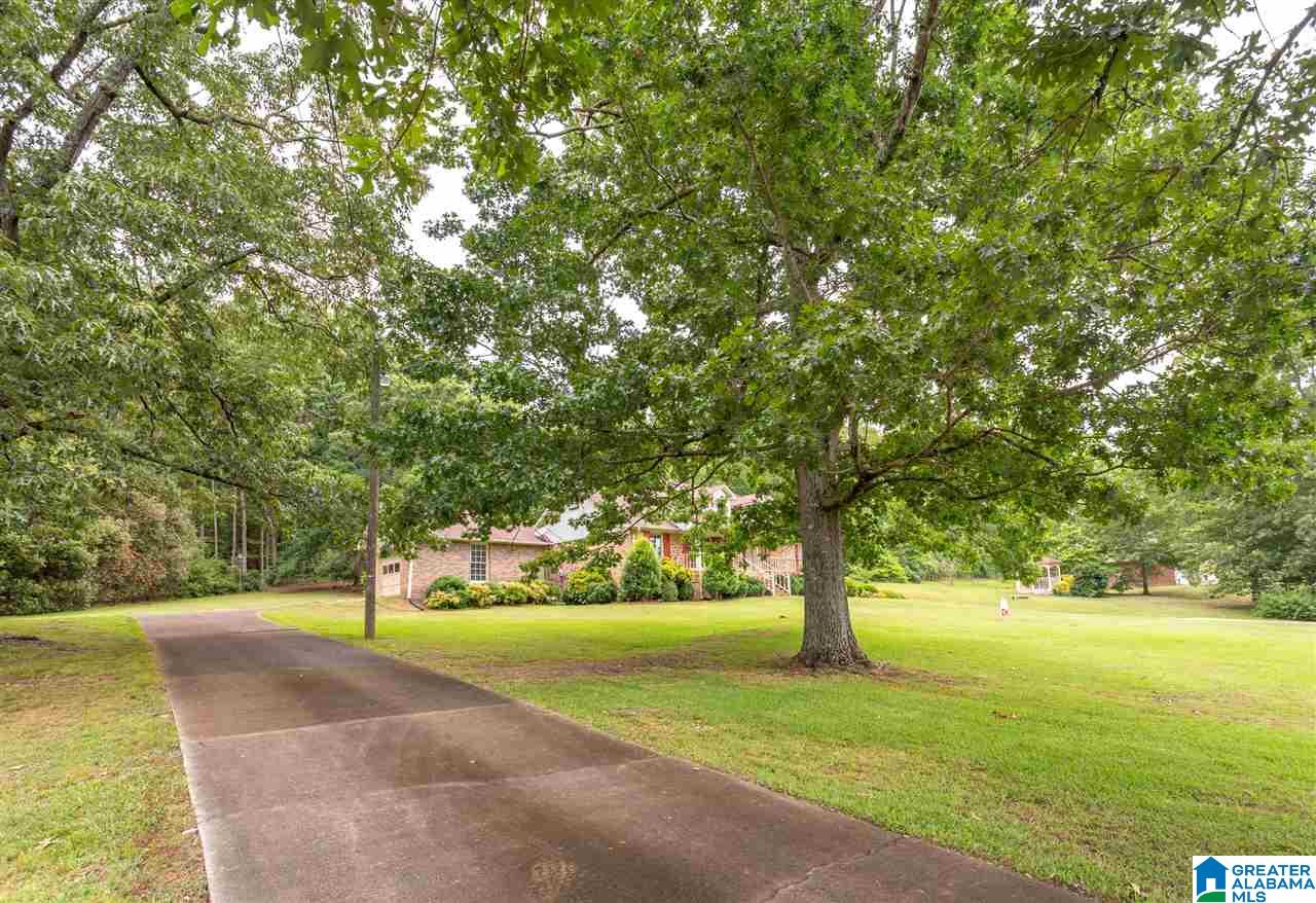 15701 Remlap Drive Remlap, AL 35133 - Photo 5 of 42