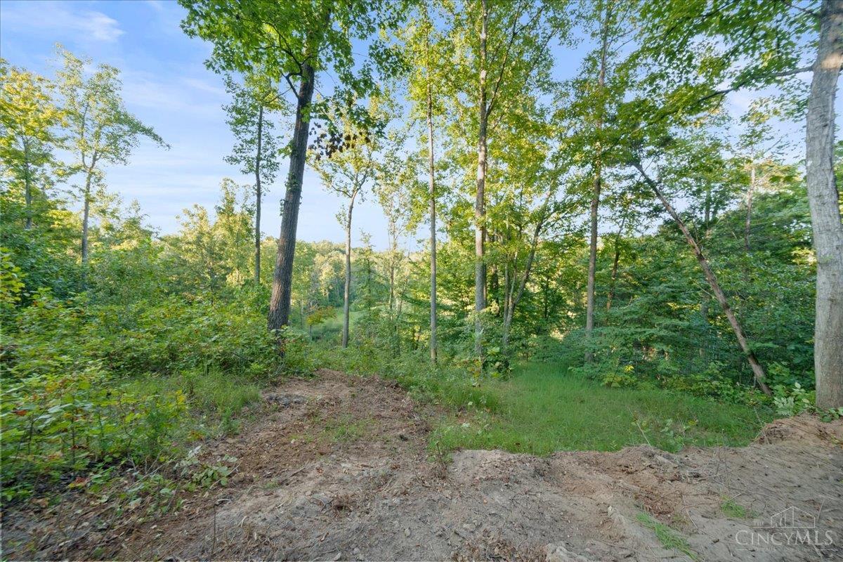 Acres Waggoner Riffle Road West Union, OH 45693 - Photo 2 of 29 Gallery Image 2
