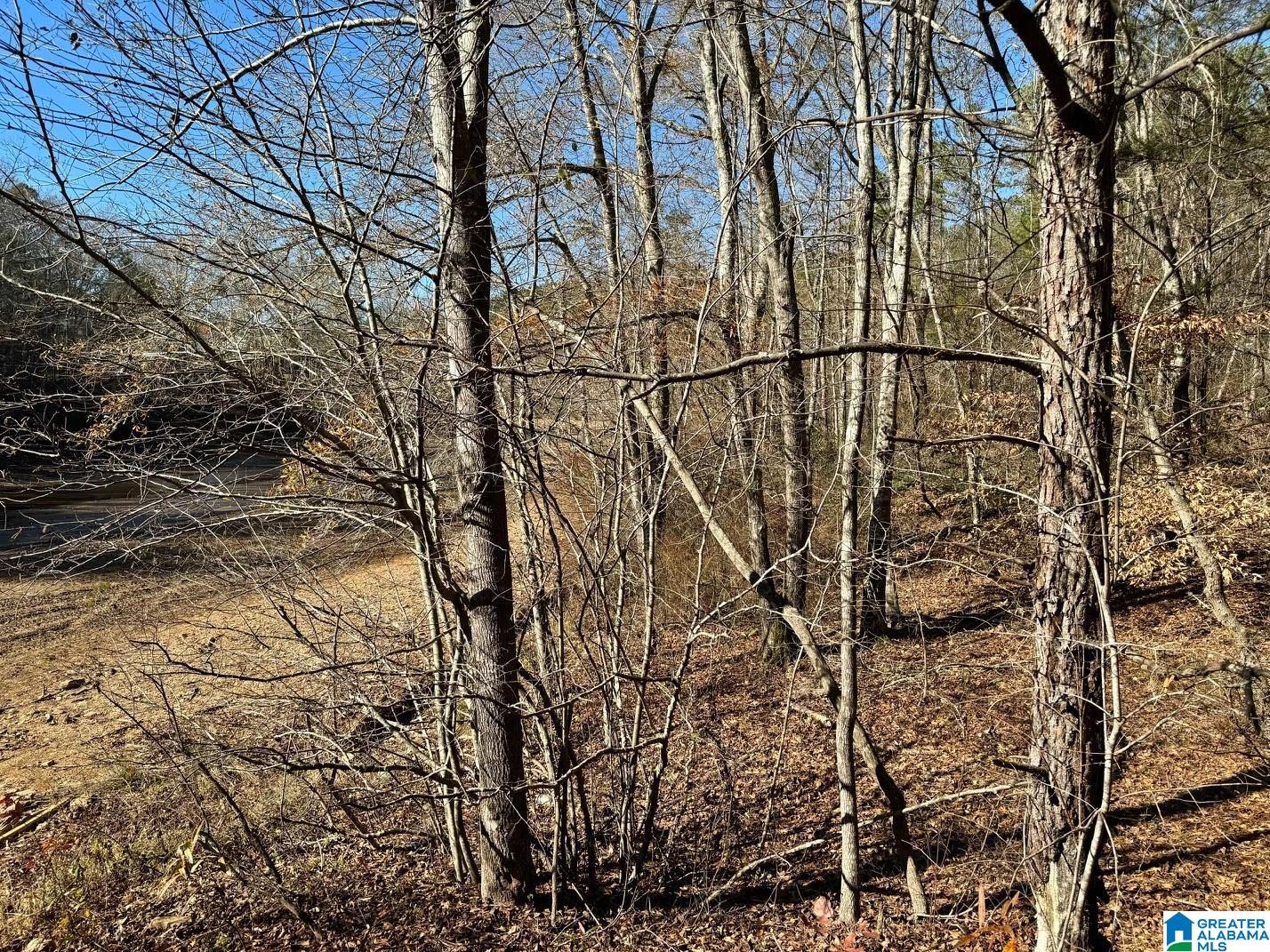 7 County Road Wedowee, AL 36278 - Photo 9 of 9