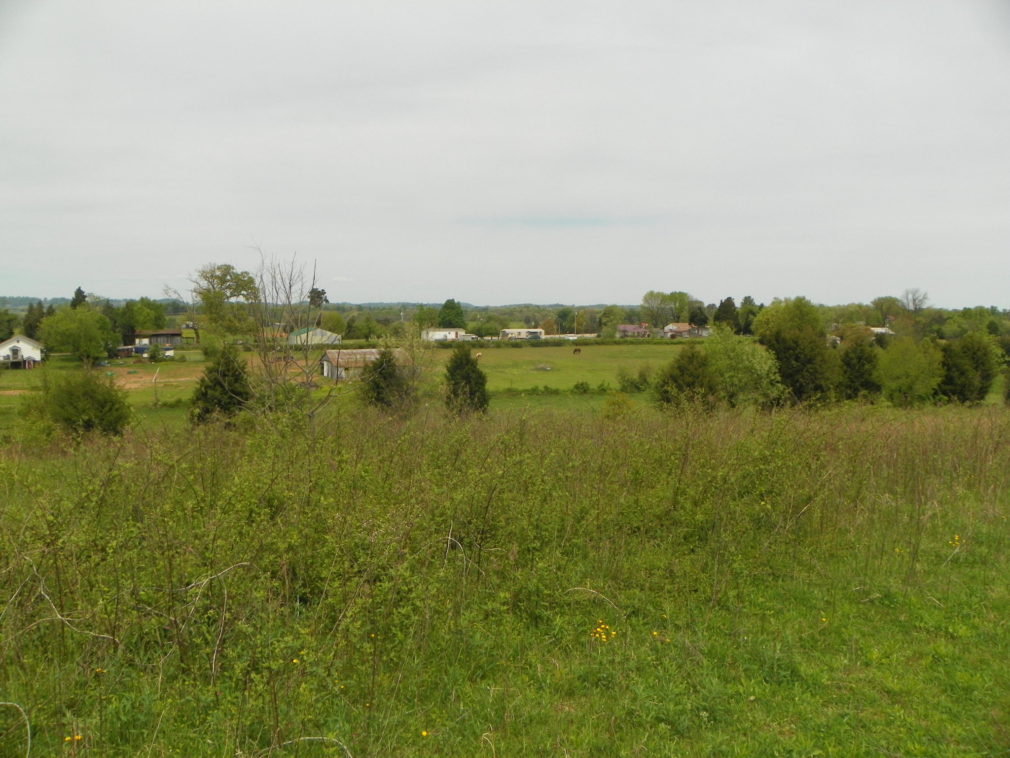 0 Niles Ferry Road Greenback, TN 37742 - Photo 1 of 33 Gallery Image 1