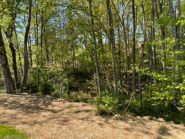 8517 Julina Drive, Unit 7 Oak Ridge, NC 27310 - Photo 5 of 40 Gallery Image 5