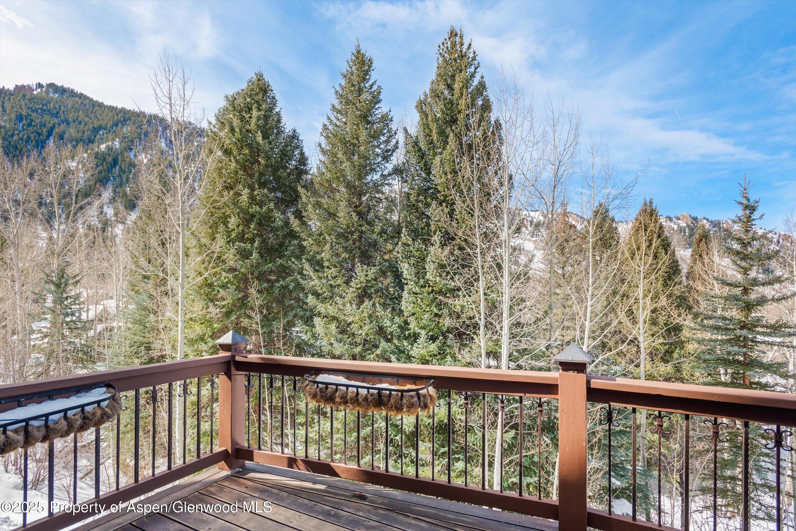 1225 Riverside Drive Aspen, CO 81611 - Photo 26 of 47 a balcony with trees in front of it